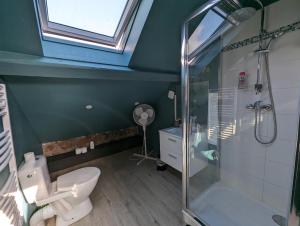 STUDIO COPENHAGUE - Confort et Luminosité في شارلفيل-ميزيير: حمام مع مرحاض ودش ونافذة
