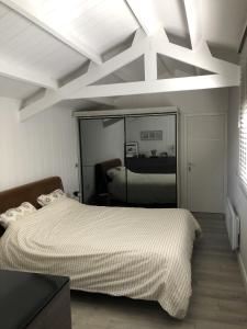a bedroom with two beds and a large mirror at Les Platanes in Duingt