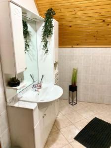 a bathroom with a sink and a mirror at Holiday home Maklen with big garden and jacuzzi in Brod Moravice