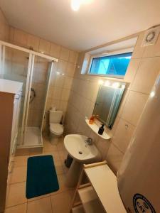 een kleine badkamer met een wastafel en een toilet bij Industriel F3 Appartement in Thann