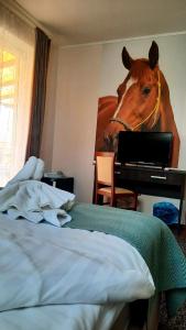 Caballus Lovasmajor Panzió 4433 Nyíregyháza, Lomb utca 14/a. kép - 2