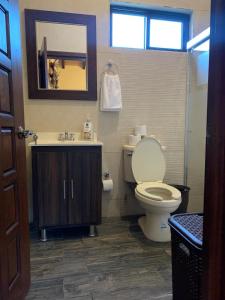 ein Badezimmer mit einem WC, einem Waschbecken und einem Spiegel in der Unterkunft Cabaña No.2 Puerta del Bosque Mazamitla. in Mazamitla