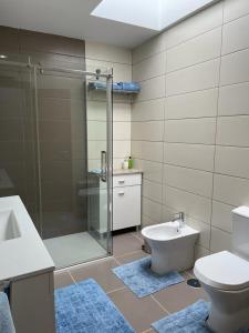 een badkamer met een douche, een toilet en een wastafel bij Quinta da Penada - Vineyard & Winery - Suíte 3 in Chaves