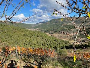 uitzicht op de bergen vanaf de top van een heuvel bij Quinta da Penada - Vineyard & Winery - Suíte 3 in Chaves