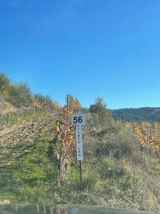 ein Geschwindigkeitsbegrenzer an der Straßenseite in der Unterkunft Quinta da Penada - Vineyard & Winery - Suíte 3 in Chaves