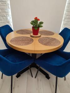 Stara Kamienica przed Fortami في سريارنه غورا: طاولة خشبية مع كراسي زرقاء ونبات الفخار