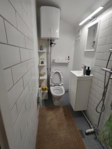 Ένα μπάνιο στο Holiday House, Garden and Beach Escape, one hour from Copenhagen +15 φωτογραφίες