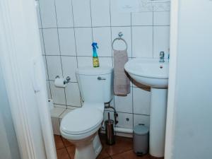 een badkamer met een toilet en een wastafel bij Stay at 12 Guesthouse and Selfcatering in Middelburg
