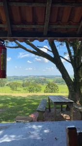 a picnic table sitting under a tree in a field at Recanto das Seriemas in Patrimônio São Sebastião