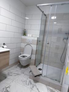 a bathroom with a toilet and a glass shower at Apartments Paderewski in Karlovy Vary