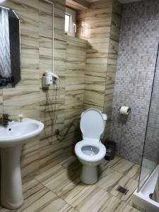 La salle de bains est pourvue de toilettes et d'un lavabo. dans l'établissement Motel Potcoava de Aur, à Alexandria