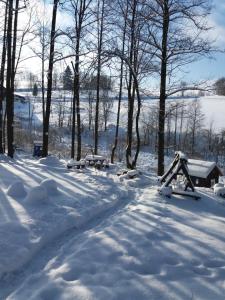 a snow covered park with a bench in the snow at Trzy Strumyki in Kąty Bystrzyckie +142 photos