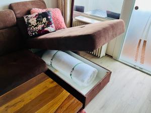 un canapé avec un rouleau de papier dans une boîte dans l'établissement Ferienwohnung 258 Haus Schleswig, à Kalifornien