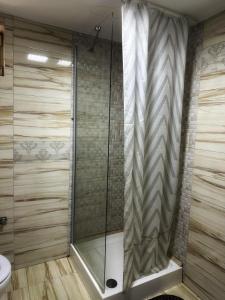 a shower with a glass door in a bathroom at Motel Potcoava de Aur in Alexandria