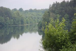 a view of a river with trees in the background at Domek Nad Jeziorem in Sierakowice +11 photos
