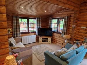 a living room with couches and a television in a log cabin at Laura's Lodge Hot Tub Log Cabin, Felmoor Park, Morpeth, Northumberland in Felton