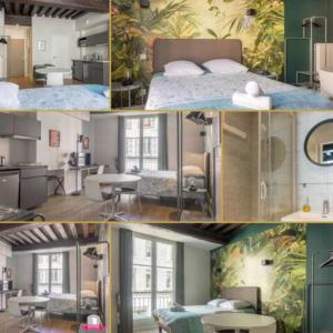 a collage of photos of a bedroom and a room at Somptueux studio Hyper Centre avec WIFI in Orléans