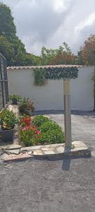 A garden outside Apartamentos Guadalupe