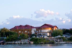 a large house on the banks of a river at Casa Teo in Mahmudia