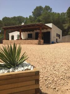 a house with a plant in front of it at A beautiful villa close to the beach in Playa Migjorn