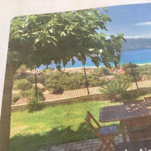 - une vue sur un parc avec un banc et l'océan dans l'établissement Magnifique rdc de villa avec jardins, à Appietto