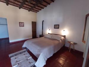 a bedroom with a large bed in a room at Hotel Texas in Cafayate