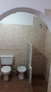 uma casa de banho com um WC, um chuveiro e um lavatório. em Hotel Texas em Cafayate