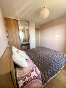 1 dormitorio con 1 cama grande y espejo grande en Charmant T2 au cœur de la ville en Furiani