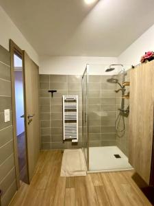 a bathroom with a shower with a glass door at Charmant T2 au cœur de la ville in Furiani
