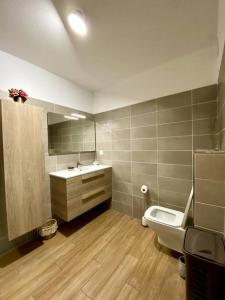 a bathroom with a toilet and a sink at Charmant T2 au cœur de la ville in Furiani