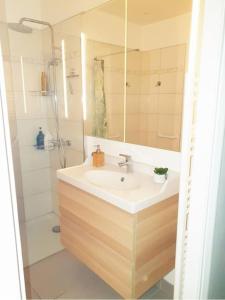 La salle de bains est pourvue d'un lavabo et d'une douche. dans l'établissement Studio -Centre-ville- Entrée autonome, à Marseille