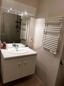 a bathroom with a sink and a mirror at Appartement Sainte-Cécile in De Panne