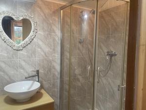 a bathroom with a shower with a sink and a mirror at Lovely shepherds hut in Cornwall in Camelford