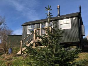 a christmas tree in front of a tiny house at Lovely shepherds hut in Cornwall in Camelford