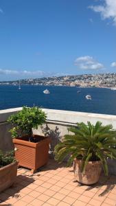 einen Balkon mit zwei Topfpflanzen und Blick auf das Wasser in der Unterkunft Maybritt's Home, rooftop in front of the castle! in Neapel