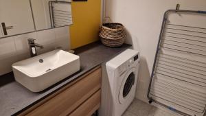 ein Badezimmer mit einem Waschbecken und einer Waschmaschine in der Unterkunft TILLON -Lumineux Balcon Transports- in Aubervilliers