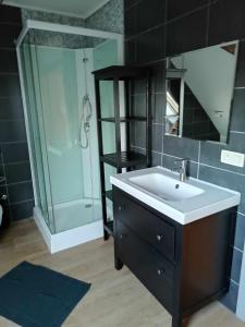 uma casa de banho com um lavatório e um chuveiro em De Blauwer, Roesbrugge em Poperinge