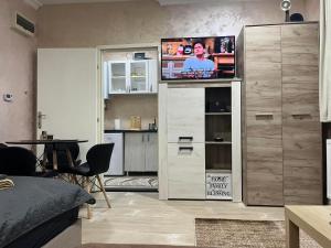 TV in/ali zabaviščno središče v nastanitvi Apartmani Vrabac 2