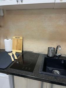 Kuhinja oz. manjša kuhinja v nastanitvi Apartmani Vrabac 2