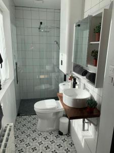 W łazience znajduje się toaleta, umywalka i prysznic. w obiekcie Appartement centre ville avec terrasse w Lille