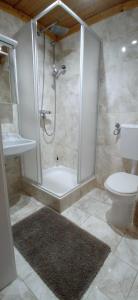 ein Bad mit einer Dusche und einem WC in der Unterkunft Gasthof Zum Lugauer in Radmer an der Hasel