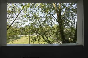 una ventana con vistas a un árbol en Queyries - Appartement 2 chambres avec Parking, en Burdeos