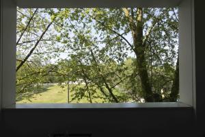 okno z widokiem na drzewo w obiekcie Queyries -2 chambres Parking Ascenseur Balcon Rive Droite w mieście Bordeaux