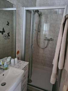 bagno con doccia e lavandino di Gemütliche Ferienwohnung am Waldrand a Elgersburg