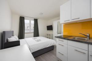 Kuchyň nebo kuchyňský kout v ubytování Downtown Deluxe Studio with Queen Bed BE-55
