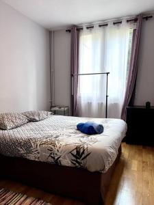 sypialnia z łóżkiem z niebieską poduszką w obiekcie Charmant appartement tout équipé avec 2 chambres w mieście Ivry-sur-Seine