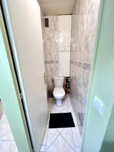 een kleine badkamer met een toilet en een douche bij Charmant appartement tout équipé avec 2 chambres in Ivry-sur-Seine