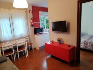 A television and/or entertainment centre at Apartamentos Guadalupe