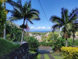 a view from the garden of a house with palm trees at Ti Palissandre in LʼEntre-Deux