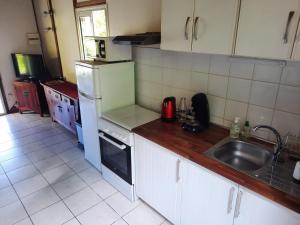 a small kitchen with a sink and a refrigerator at Ti Palissandre in LʼEntre-Deux